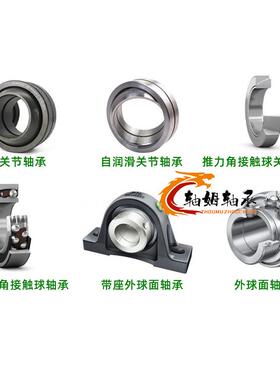 ina轴承SL192315C3S192315SL192316L.C3SL509192317SSL1.92318-