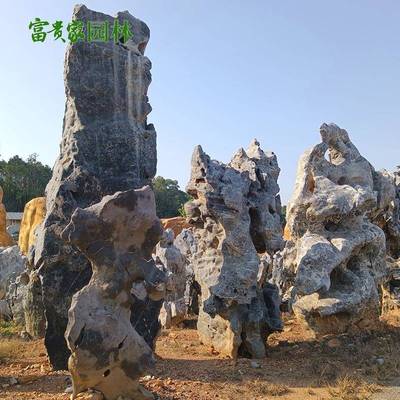 富贵家假园林山石绿岗地00201摆件龙天然造型湖黑色太石景观造景