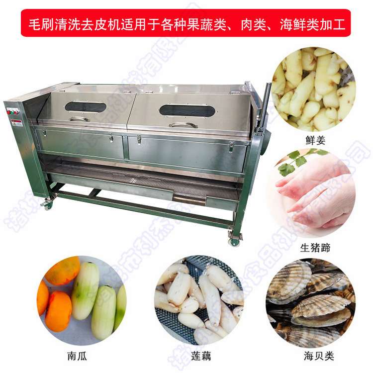 供应胡萝卜毛刷去皮机 不锈钢芋头毛辊清洗机 自动出料土豆去皮机
