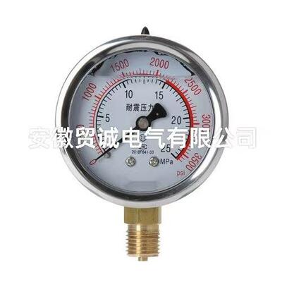 压力表YBN-5050mm2.5级0-25MPaM14×1.5径向