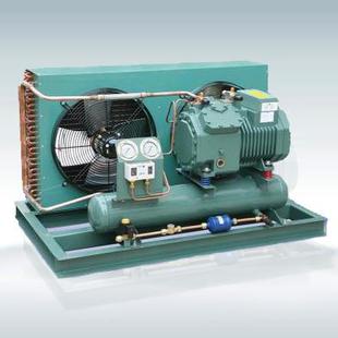 比泽尔半封闭螺杆CSH9563 210Y压缩机维修配件冷冻库