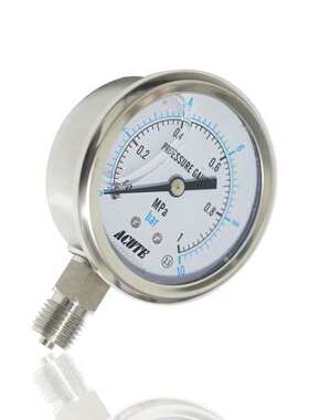 全不锈钢耐震压力表径向船舶设备用耐酸碱YN60BF 1MPA 10BAR厂销