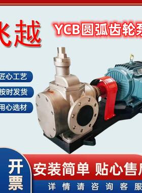 不锈钢圆弧齿轮泵YCB20/0.6低噪音输送管道自吸泵飞越泵业