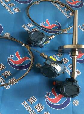 Pt00本安型热电阻WZP-94A可动外螺纹WZP-94ExiaIICT6