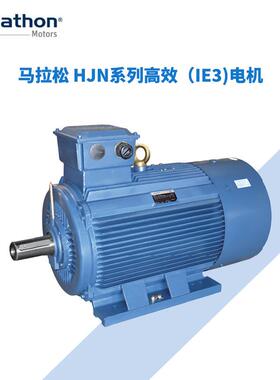 marathon马拉松电机HJN系列三相异步电动机/无锡华达/雷勃电气IE3