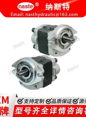 液压泵N150-601100-000/30HB/490 JIYUAN
