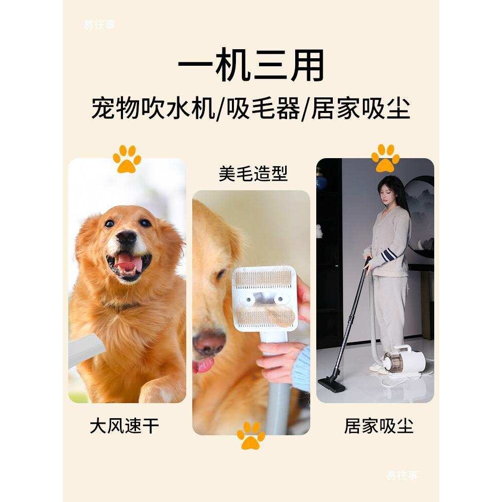 吹狗毛吹风机吹干宠物吹水一体狗狗大功率机器吹毛店家大型犬