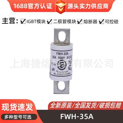 FWH-35AFWH-35B圆形快速熔断器保险丝电子元器件量大价优