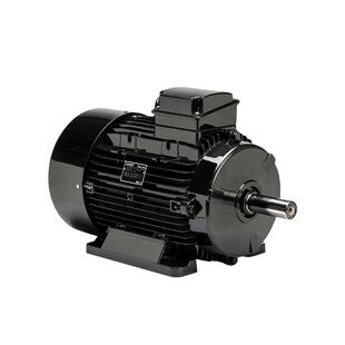 巴西WEG拉斐特LAFERT拉莫斯LAMMERSHOyER霍尔三相异步交流电动机