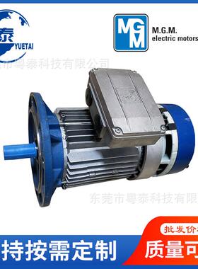 MGM风电变桨刹车电机0.350.550.751.52.2345.57.59.2KW