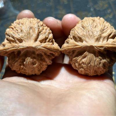 精品文玩核桃宫灯狮子头老树的果子配对手把件古玩木制木艺