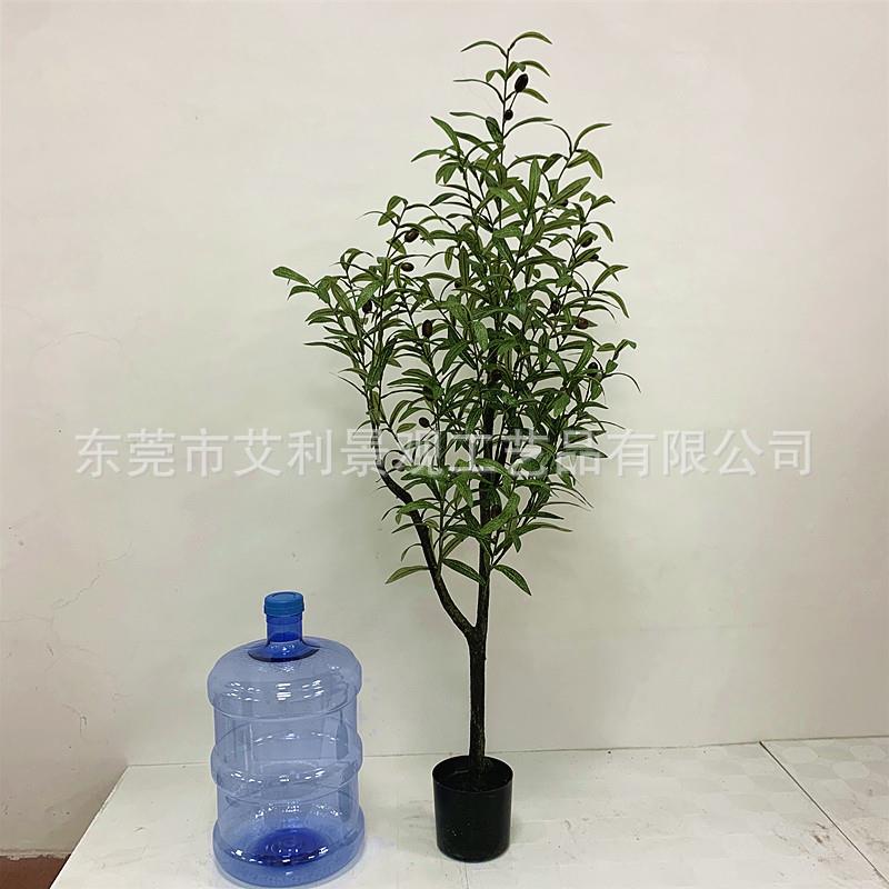 橄榄树盆栽客大厅办室型树公盆景假绿植装632饰树绿植