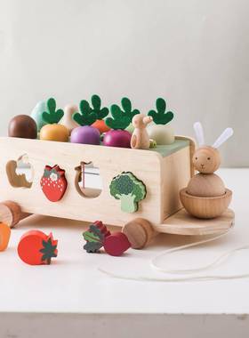 童儿木质玩具弹力绳萝卜宝宝拖车状车配对NHY拔萝卜启形蒙认知玩