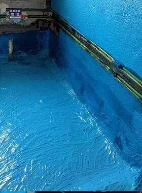 J防S水泥基VPD水涂料10g国标乳液卫生间房装修通用js防水涂k新膜