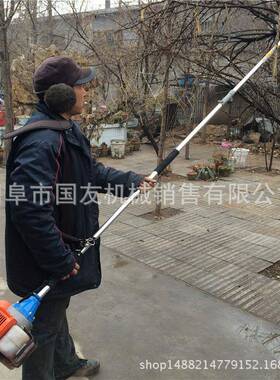 树枝1E4F剪修机锯林高枝伸缩杆树木修枝剪两冲园程多功能高枝锯