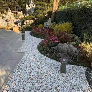 造园林铺路原色鹅240601卵石雨花石石彩五彩抛光雨景花石鹅卵石