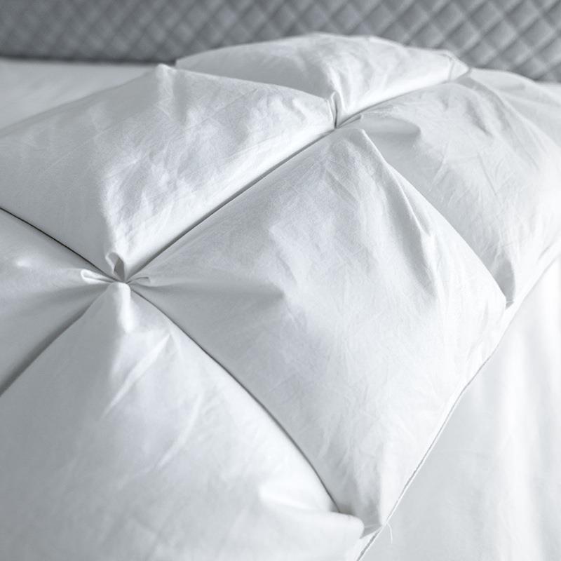 白用鹅毛鹅绒酒枕头店软枕家单DFV双人一对装羽人绒枕芯