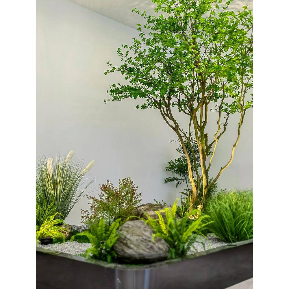 马吊钟树大型吊钟树树盆景客厅装饰地醉木落绿植树盆栽厂假家