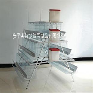 蛋鸡养殖笼三层阶梯式蛋鸡笼四门镀锌蛋鸡笼