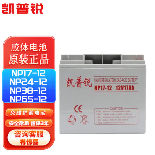 凯普锐胶体免维护UPS蓄电池12VNP17-12/NP24-12/NP38-12/NP65-12A