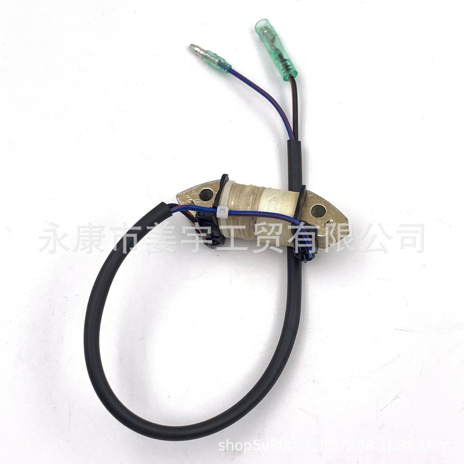 用于东发4冲程9.8马力F9.8舷外机配件充电线圈船外机3V1-06021-0
