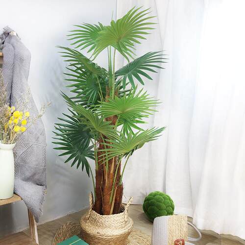 北欧仿真植物多杆扇葵树叶扇形蒲葵叶拍照道具假花
