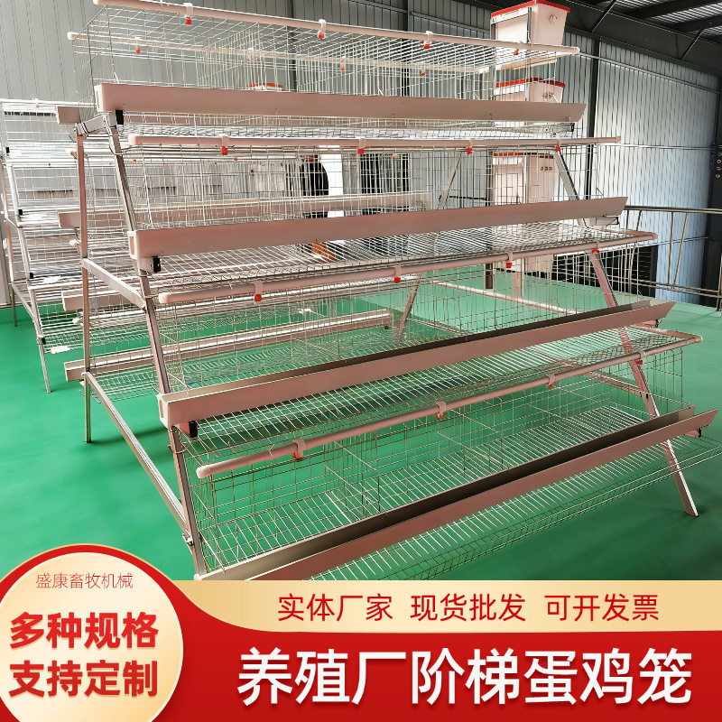 大型养鸡场阶梯蛋鸡笼子三层叠立式蛋鸡笼带食槽水箱蛋鸡笼设备