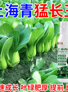 上海青专用肥叶片肥厚生根壮苗茎部壮实提质增产增收叶菜专用肥料