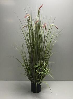 现货仿真芦苇狗尾巴草大型绿色洋葱草盆栽室内仿真草狗尾草盆