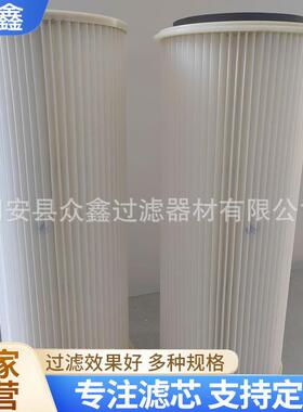 PIE210071替代安满能滤筒AMANO石墨吸尘器滤芯PI210072