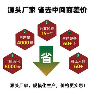 圣树圣餐诞节装饰树圣诞树IGH套装圣诞饰场景布置摆件圣诞仿真诞