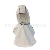 014电动送器空气净化呼面吸配套头罩正压式 电风动送风呼吸器罩