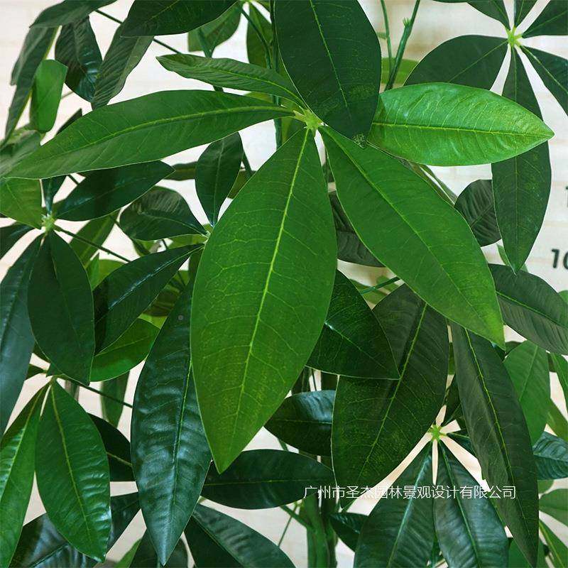 仿真发树栽盆办公仿财真40814绿植大型发财树盆室景装饰仿真双杆,农机/农具/农膜,其它农用工具,淘宝优惠券,粉丝福利购,淘宝优惠卷