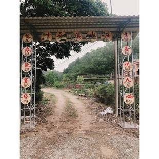 手绘饭竹编簸箕画墙饰TUL绘箕手装饰招牌门牌店农家农庄墙壁簸装