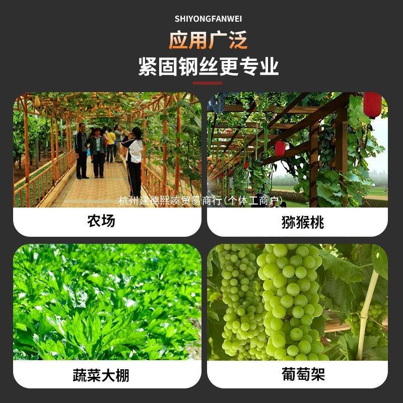 2205新葡萄架紧钢线器丝绳收紧器拉紧器款农场大棚小型539铁丝固