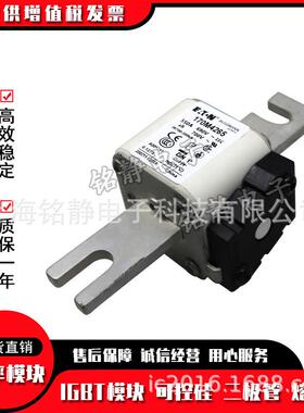 170M4921170M4922170M4923巴斯曼熔断器现货170M4924170M4925