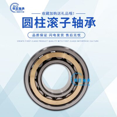 哈尔滨进口圆柱滚子轴承NUP1019 1020 1221 1022 1024 EM