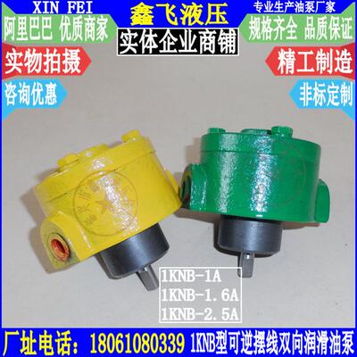1KNB-1A1KNB-1.6A1KNB-2.5A可逆式摆线齿轮油泵减速机双向泵