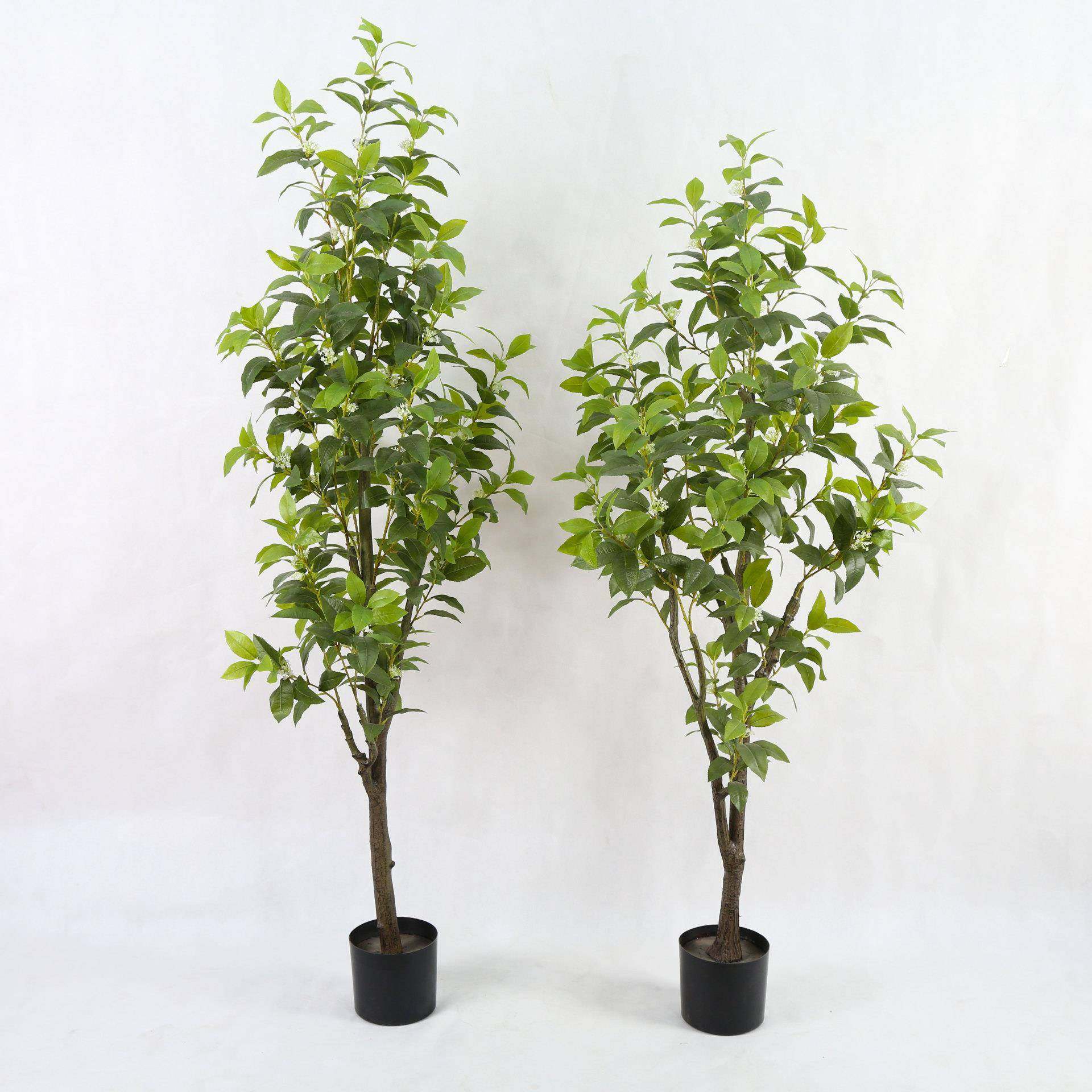 仿真桂花树绿植盆栽真植物人造盆景金桂银桂丹桂