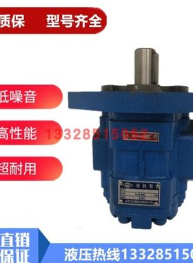 四川长江长江齿轮泵CBY3063-275L CBY4160C-B1FR GPC4a-63-D3R