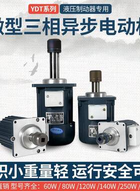 微型三相异步电机焦作象山南阳南召天力YDT/ASF60W80W推动器抱闸