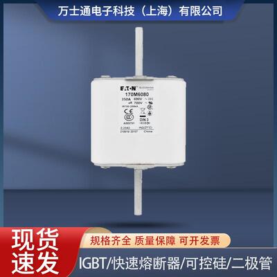 巴斯曼170M6080170M6081170M6082170M6083170M6084608560866087