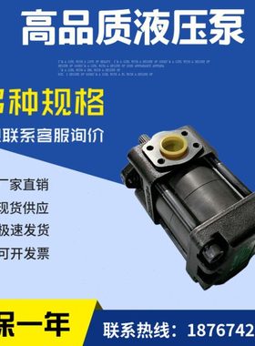 住友齿轮泵CQTM43-20F-20F-3.7-1-T-S1307-D橡塑机械油泵