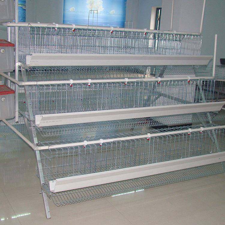 阶梯式6层鸡笼养殖场专用鸡笼子4位铁丝笼家用鸡笼养鸡设备组合