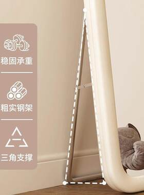 全身奶镜落地式红油网风试衣穿衣镜式家用女生卧室异见详情形镜法