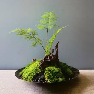 厅兰庭LTJ20-1雅客仿真迎客松盆景居家居玄关电视柜装饰摆件