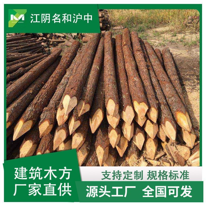供应澳松原木 松木打桩木 河道地基打桩木 包装箱托盘木材 松木条