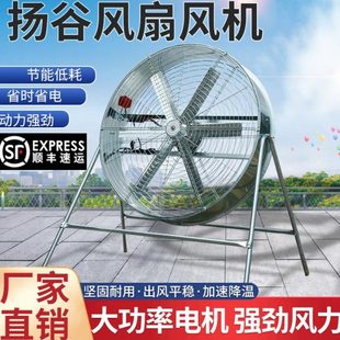 扬谷扇粮食扬场扇养殖工厂车间吹风机强力吹风工业扇调速风机