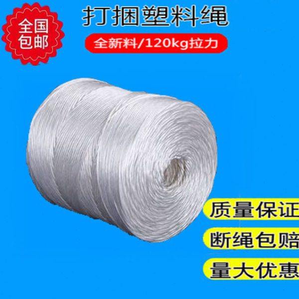 秸秆牧草打捆绳方捆打捆机专用塑料绳双股全新料包邮白绳黄绳蓝绳,农机/农具/农膜,农用包装器具,淘宝优惠券,粉丝福利购,淘宝优惠卷