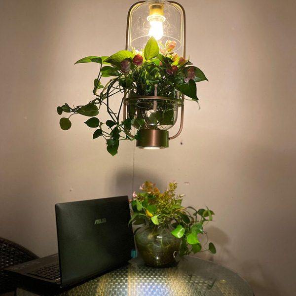 植物吊灯吧台吊灯工业风咖啡厅餐厅阳台灯创意个性水养绿植装饰灯